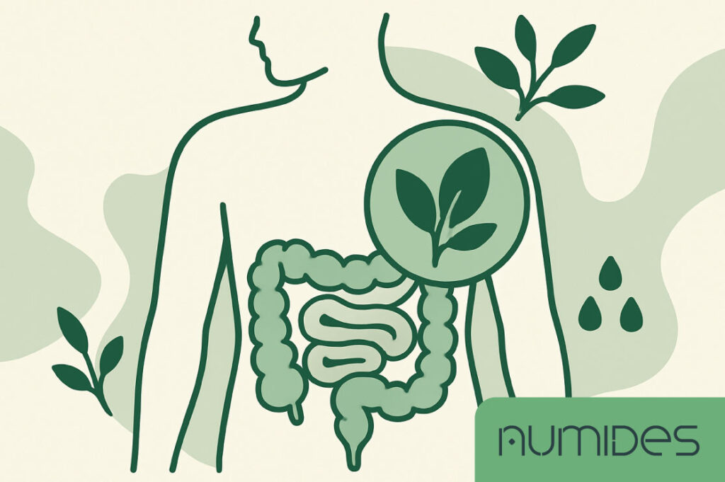Síndrome do Intestino Irritável